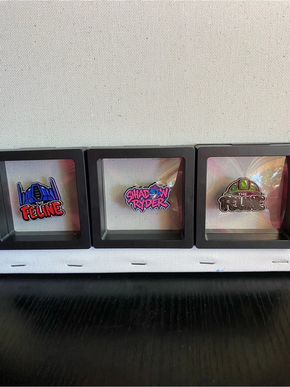 The Feline & Shadow Ryder Decorative Wall Pin Display - Multicolor